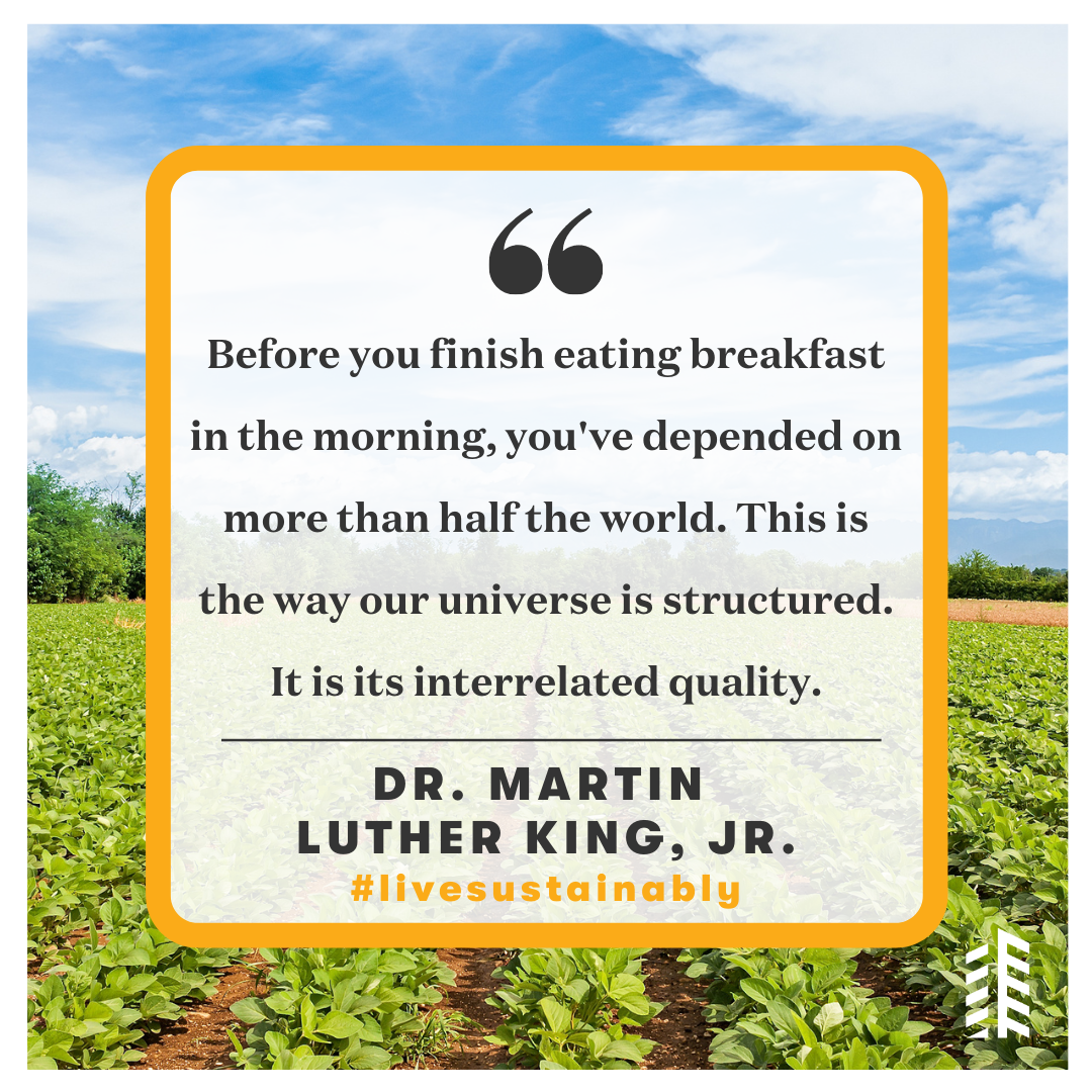 Dr. MLK Quote Dr. MLK Quote