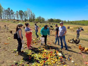 Group of people look at food scraps on a farm being fed to chickens