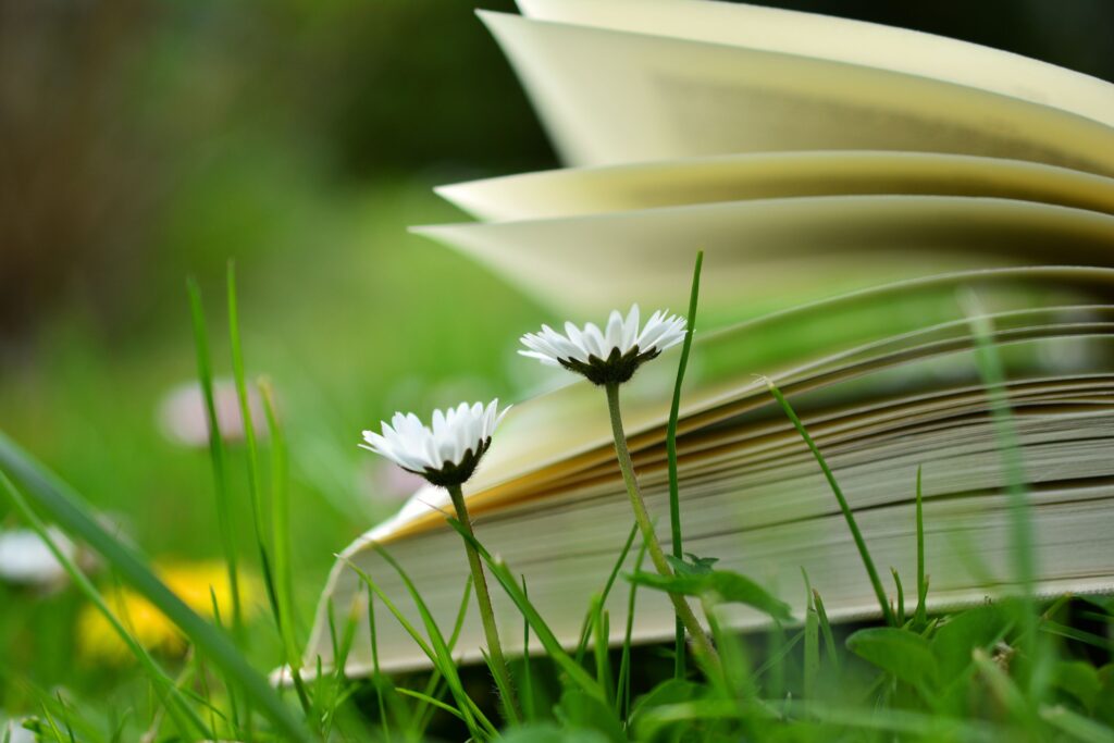 pages of an open book against a grassy background