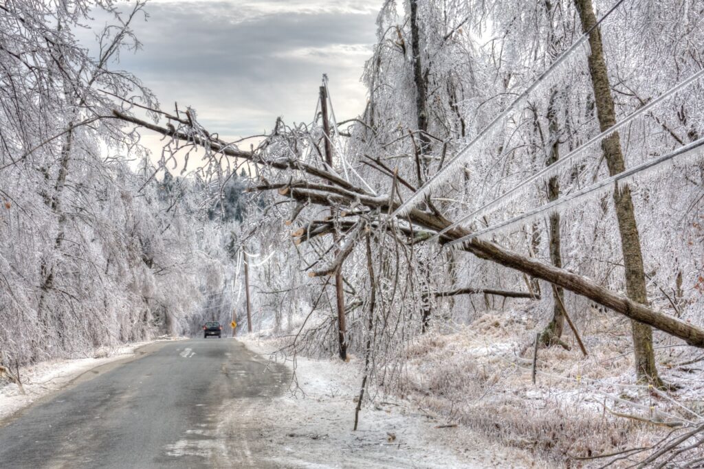 tree fallen on power line in ice storm