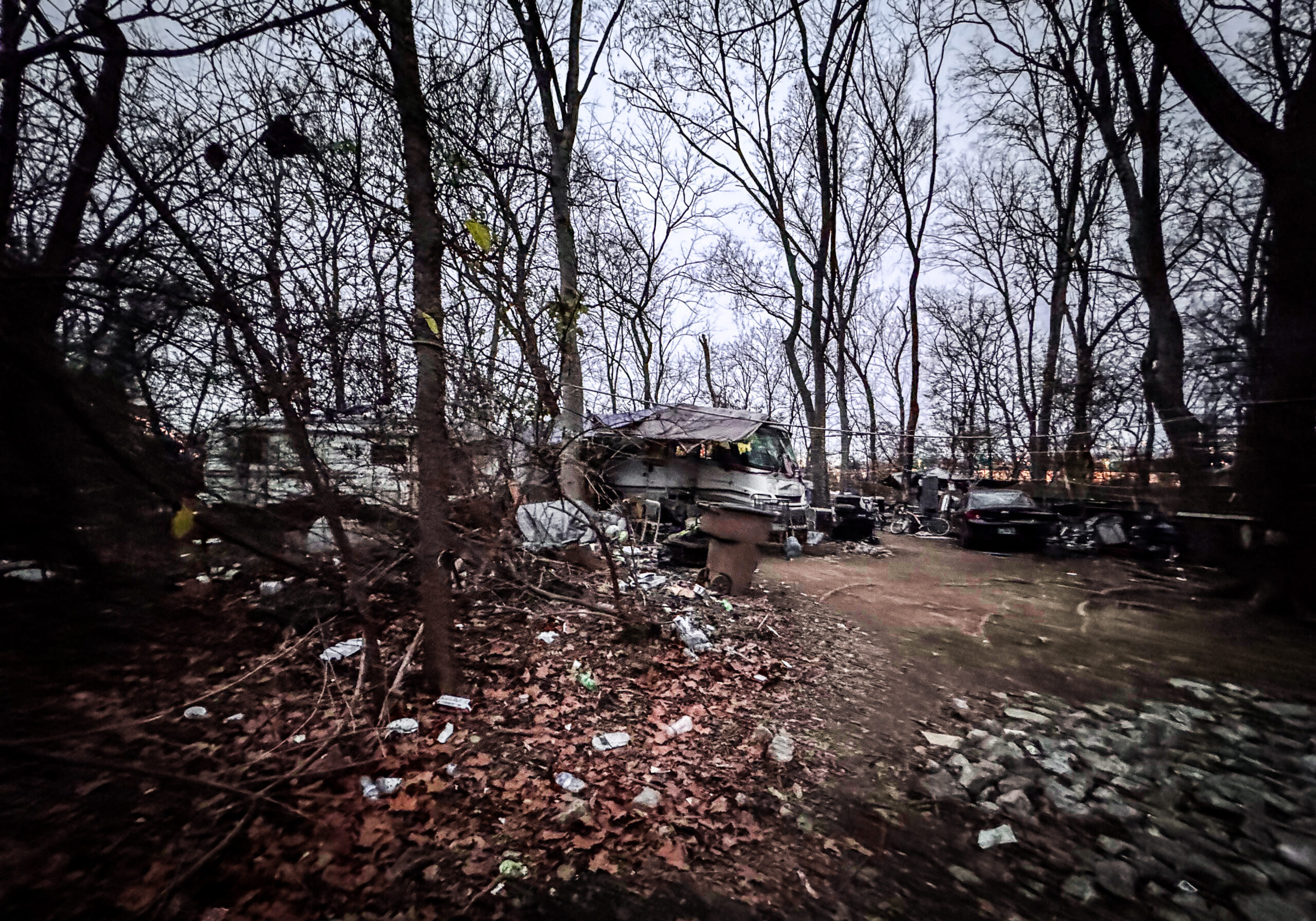 Portraiture of Hamrick_McQuiston cleared land in the middle of some trees with trash all over the ground