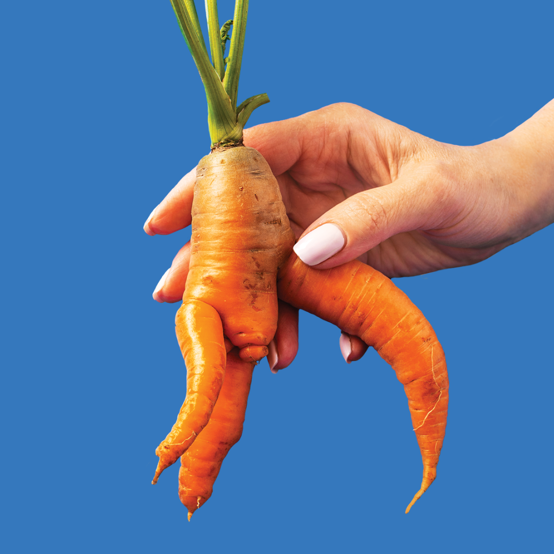 A hand holding a misshapen carrot